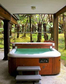 Hale Mauna Loa Upper Level With Shared Hot Tub Volcano
