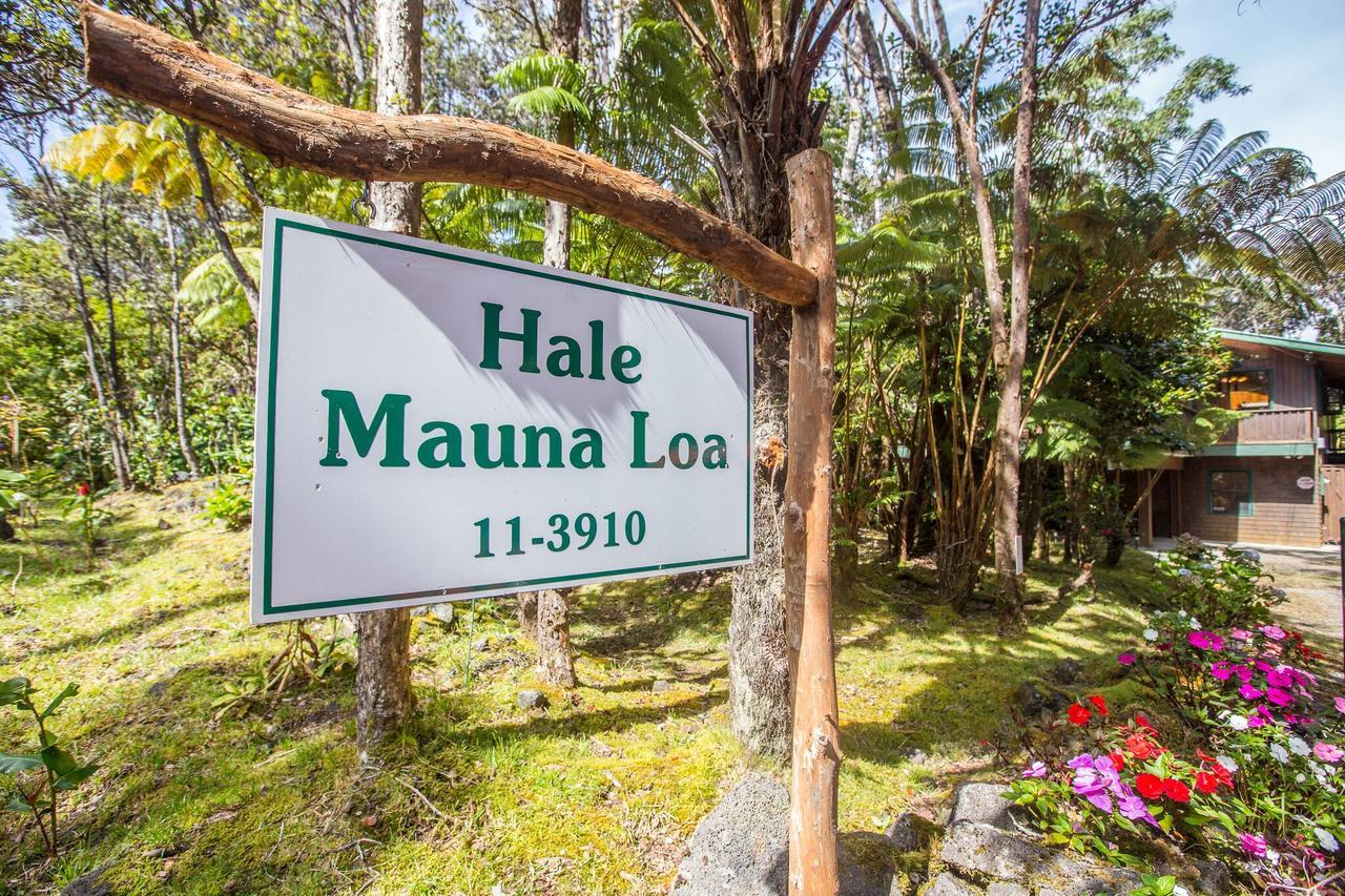 Hale Mauna Loa Upper Level Hébergement de vacances *